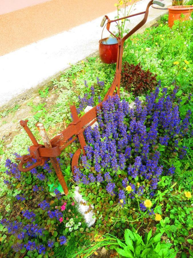 Apartment Smilje Šibenik Kültér fotó